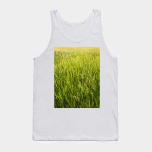 Blooming wild bromus Tank Top